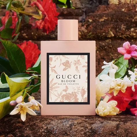 gucci bloom 香水介绍|gucci bloom 2017.